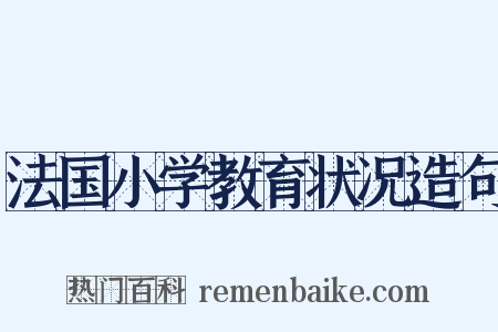 法国小学教育状况造句是什么意思的图片